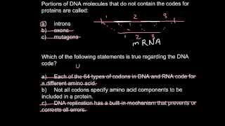 Introns exons and codons [upl. by Anemolif]