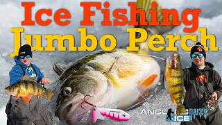 Ice Fishing Jumbo Perch [upl. by Katti]