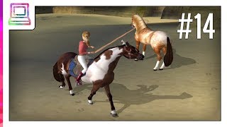 Barbie Horse Adventures  Wild Horse Rescue part 14 Horse Game [upl. by Koerlin]