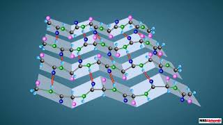 Proteins and their Structure [upl. by Adnuhsal]