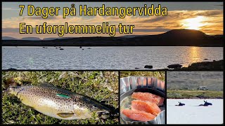 Hardangervidda  Fisketur  Sant [upl. by Hobart716]