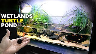 Aquascape Tutorial Turtle Aquarium  Vivarium  Paludarium how to step by step planted tank guide [upl. by Grimbal]