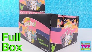 Andy Warhol Dunny Keychains Kidrobot Blind Box Figure Opening  PSToyReviews [upl. by Carol-Jean222]