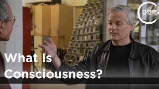 David Chalmers  What is Consciousness [upl. by Etnaled]