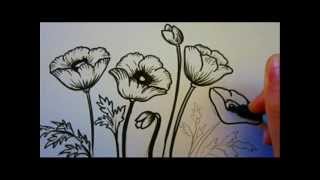 Flower Tutorial  How To Draw Flowers  Poppy Flowers [upl. by Akinet120]