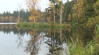 Marienbad im Herbst  Eine Reise nach Tschechien [upl. by Orelia]