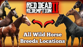 All Wild Horse Breed Locations in Red Dead Redemption 2 [upl. by Llehsam182]