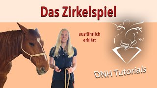 Bodenarbeit für Anfänger Das Zirkelspiel  ausführlich erklärt [upl. by Tyrrell]