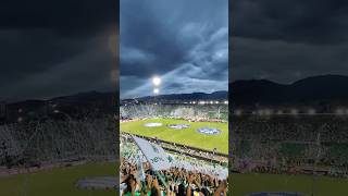 Salida Atlético Nacional VS Tolima Final LigaII 2024 [upl. by Ardnuahs]