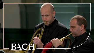 Bach  Cantata Sie werden aus Saba alle kommen BWV 65  Rademann  Netherlands Bach Society [upl. by Eillak]