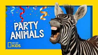 Party Animals REMIX  Party Animals [upl. by Tressa292]