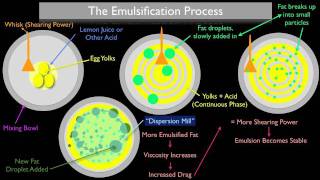 The Emulsification Process [upl. by Muslim]