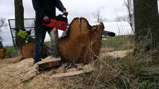 Sachs Dolmar 166 chainsaw [upl. by Cung]