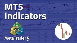 Using Indicators on MetaTrader 5 [upl. by Fidelity]