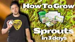 How to GrowSprouts in 3 Days [upl. by Ilyssa447]