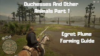 RDR2  Duchesses And Other Animals Part 1  Egret Plume Guide [upl. by Lletnahs]