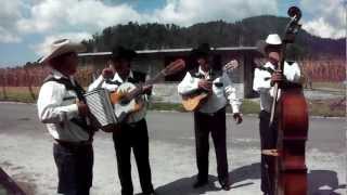 Grupo Norteño COVER Muchacho Alegre [upl. by Demitria]