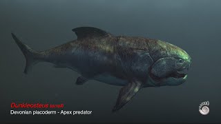 Dunkleosteus terrelli  Apex predator  Giant Devonian placoderm [upl. by Iover]