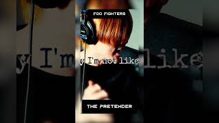 Foo Fighters  The Pretender Cover [upl. by Annekahs]