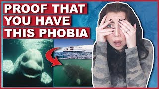 Photos That PROVE You Have Thalassophobia [upl. by Aisor]