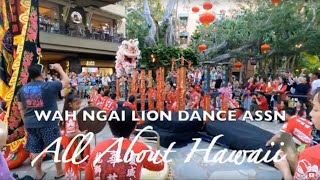 quotLION DANCEquot WAH NGAI LION DANCE ASSOCIATION  All About Hawaii [upl. by Mcmurry]