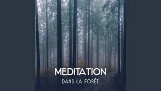 Forêt tranquille  Musique d’ambiance [upl. by Leiuqeze]