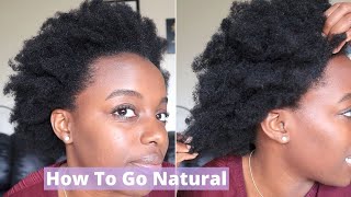 The ULTIMATE DETAILED Guide For Transitioning To Natural Hair 4C [upl. by Yeorgi965]