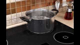 Induction Cooking Overview [upl. by Tracee612]