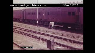 Excellent footage of Indian Railways early 1960s Archive film 61235 [upl. by Sherborn313]