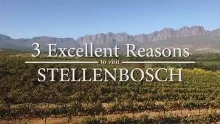 3 Excellent Reasons to Visit Stellenbosch [upl. by Ovid]