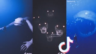 Thalassophobia TikTok compilation [upl. by Hines]