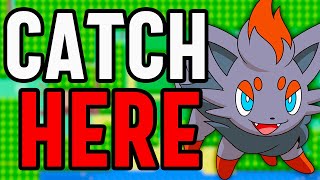 PokeMMO How To Catch Zorua [upl. by Tracee295]