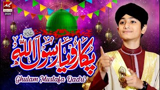 New Rabi Ul Awal Title Naat 2020  Pukaro Ya Rasool Allah ﷺ  Ghulam Mustafa Qadri [upl. by Kcoj565]