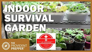 How to Grow an Indoor Survival Garden [upl. by Anilek]