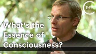 Giulio Tononi  Whats the Essence of Consciousness [upl. by Sivraj]