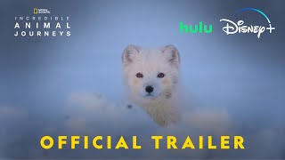 Incredible Animal Journeys  Official Trailer  National Geographic [upl. by Ecire]