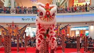 Kok Ngai Acrobatic Lion Dance [upl. by Yrak]