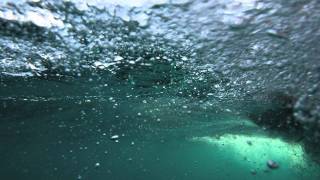 The Atlantic Shelfbreak Using robotic vehicles to observe ocean life [upl. by Neleh112]