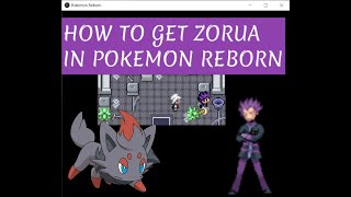 How to get Zorua in Pokemon REBORN [upl. by Allemaj]