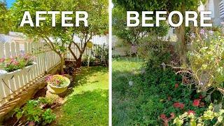 Overgrown Small Garden Makeover  BEFORE and AFTER [upl. by Sivrad]