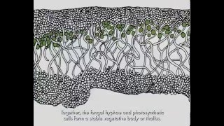 Lichen Biology [upl. by Torrie]