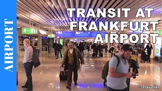 TRANSIT WALK AT FRANKFURT Airport FRA Terminal 1  Connection Flight Transfer Arriving amp Departing [upl. by Bork]