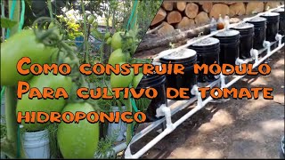 Como construir sistema hidroponico con cubetas para tomate y pimiento [upl. by Irmgard]