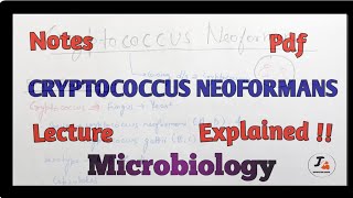 Cryptococcus neoformans Microbiology [upl. by Barret]