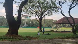 UP Diliman Sunken Garden [upl. by Nnawtna]