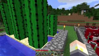 Minecraft Cactus Guide A guide to cacti planting damage from them green dye [upl. by Yniar]