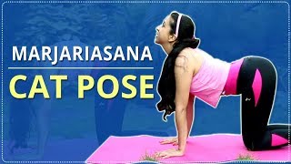 How To Do CAT POSE  Step By Step Marjariasana  Yoga For BEGINNERS  Simple Yoga Lessons [upl. by Ainolopa]