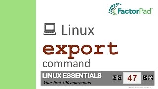 Linux export command summary with examples [upl. by Storer283]