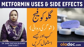 Metformin Tablet Uses Urdu  Glucophage Ka Istemal  Metformin Kab Lena Chahie  Glucophage ke Fayde [upl. by Ellenig]