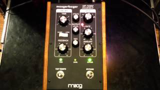 Moog MF104M Analog Delay [upl. by Hsiekal]